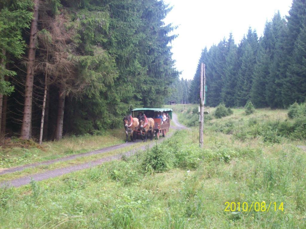Hotel Burghof Schwarzatal Номер фото